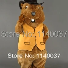 Костюм талисмана бобра, индивидуальный костюм, карнавальный костюм с героями мультфильмов, карнавальный костюм, вечерние костюмы