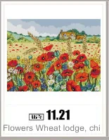 AeProduct.getSubject ()