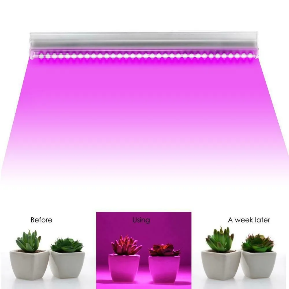 Полноспектральный светодиодный светильник для выращивания растений T5, лампа для выращивания растений в помещении 2835, садовая лампа