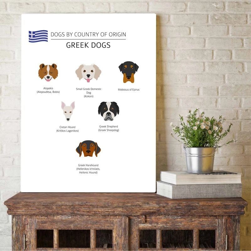 Greek Dog Breeds Prints Pet Shop Decor