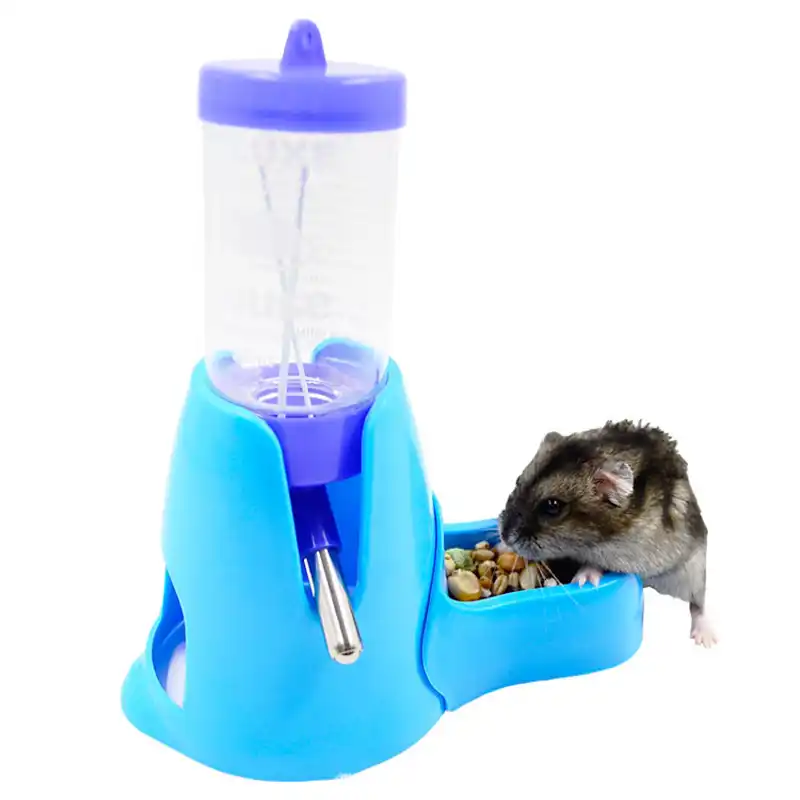 guinea pig water dispenser