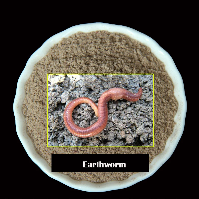 

30g Earthworm Flavor Fishing Bait Additive Carp Fishing Feeder Bait Boillie Making Material Groundbait Additive