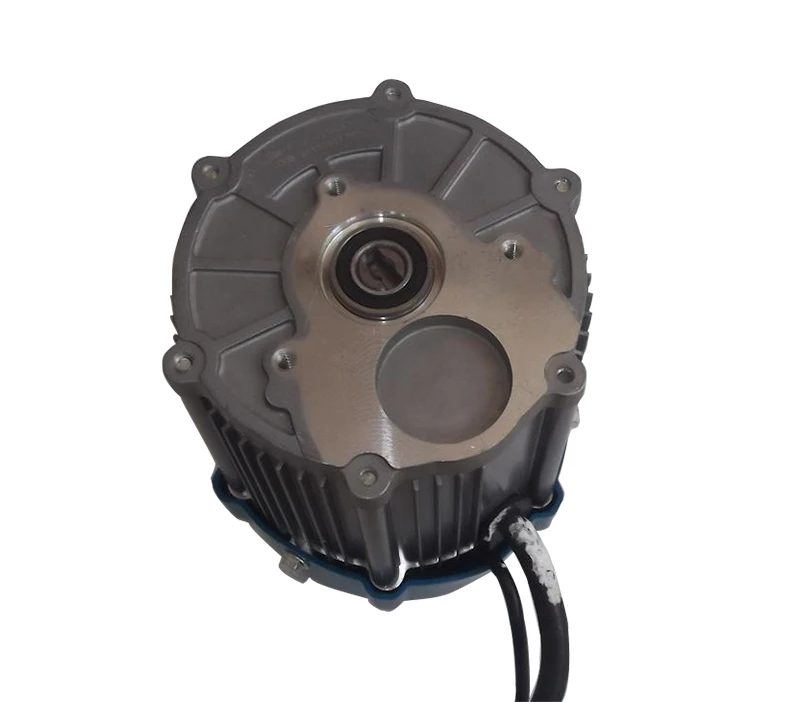 BM1418W 12B 300W 500W 650W 750W 36V 48V 60V DC бесщеточный двигатель светильник легкий трехколесный