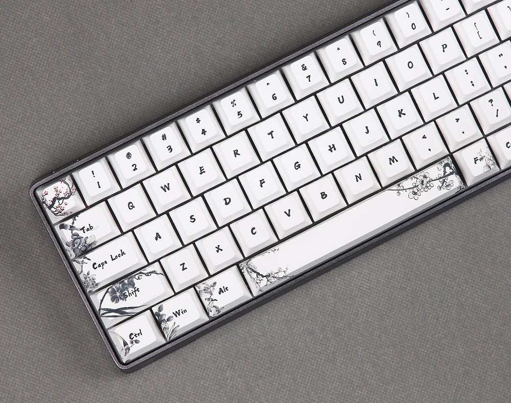 HTB1lBw3KeySBuNjy1zdq6xPxFXaG