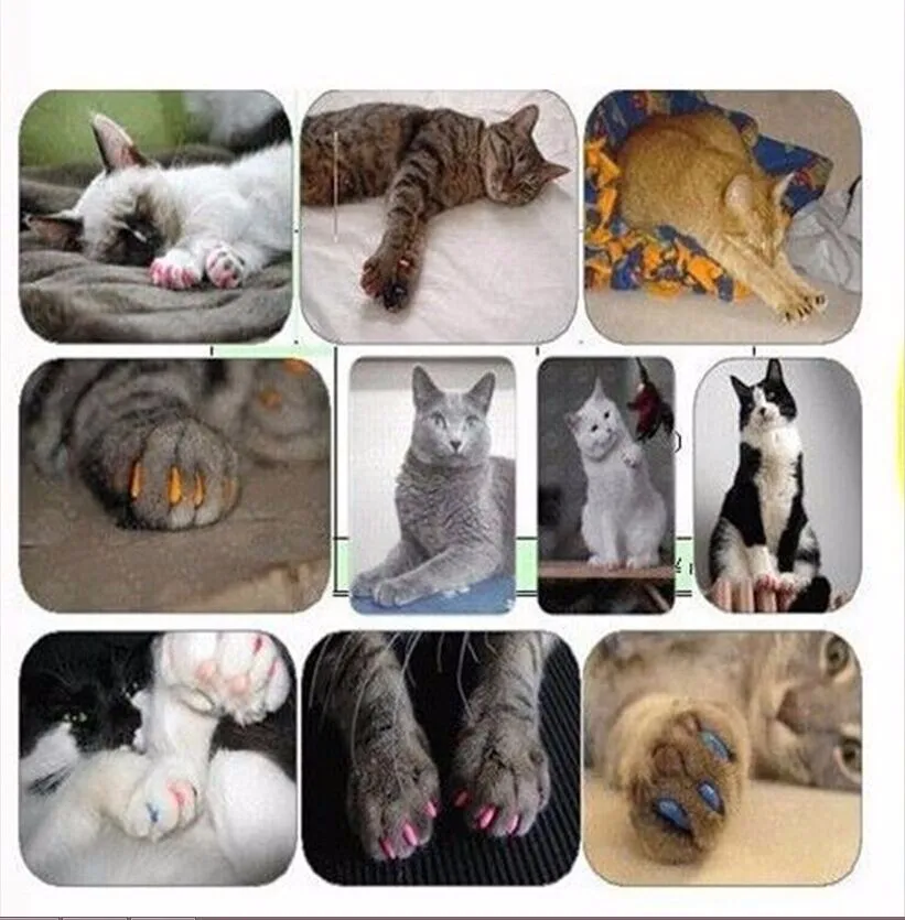 新しい年ギフト用ペット卸売 Pcsあたりロットソフトcatネイルキャップからクローコントロール足で糊ポリ袋パッキング Soft Cat Nail Caps Cat Nail Capsnail Caps Aliexpress