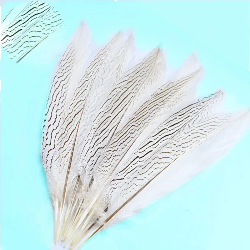 

10pcs 10-80CM Natural Silver Pheasant Tail Feathers lady amherst white plumas DIY Party Feather Carnival Clothes Accessories