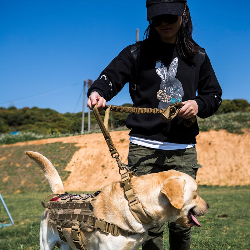 Tactical Bungee Training Leash Military Police Dog Leash