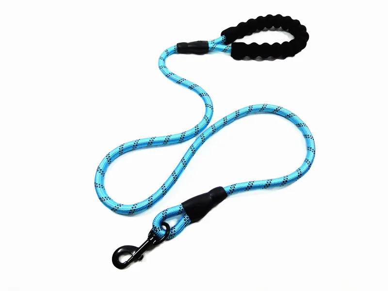 dog accessories 