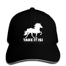 Классический круглый воротник с коротким рукавом для мужчин вырез под горло Исландская лошадь Take It Isi Snapback cap женский солнцезащитный козырек