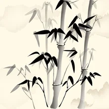 «Сделай сам» незавершенный шелк тутового шелкопряда Вышивка Сучжоу узоры наборы ручной работы Рукоделие бамбуковые