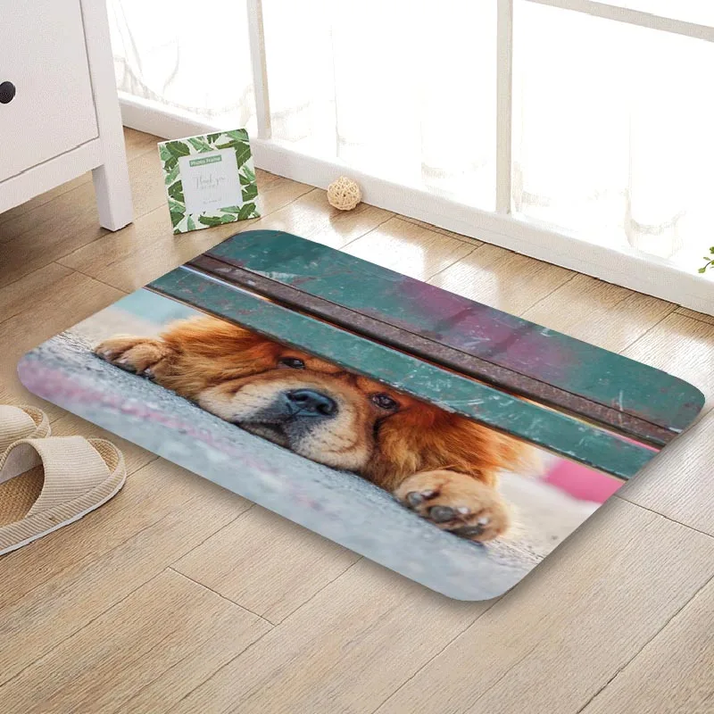 

HEARMNY New Arrival Doormat Chow Chow Cute Home Mat Machine Made Anti Slip Carpet Living Room/Hallway Bath Mat For Kids Gift
