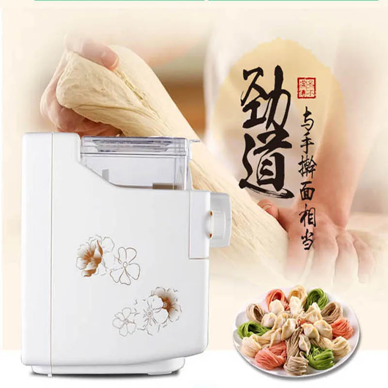 DIY Household Fully-Automatic Pasta Machine Small Electric Noodle Maker MTJ138