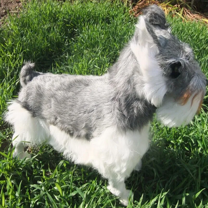 big Simulation Schnauzer dog toy polyethylene furs gray dog model gift about 48x42cm y0261