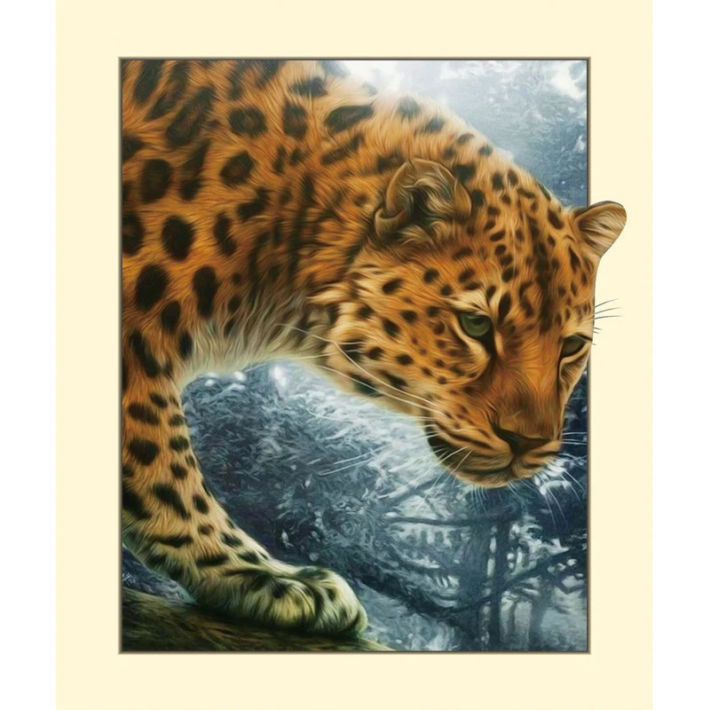 HTB1MgmXaNnaK1RjSZFBq6AW7VXa2