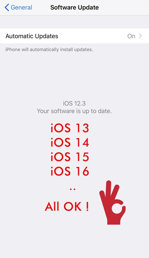 Bamyoyo 10 шт. выглядит как Оригинальная батарея для iPhone 6 Plus P Accu 2915 мАч Замена +