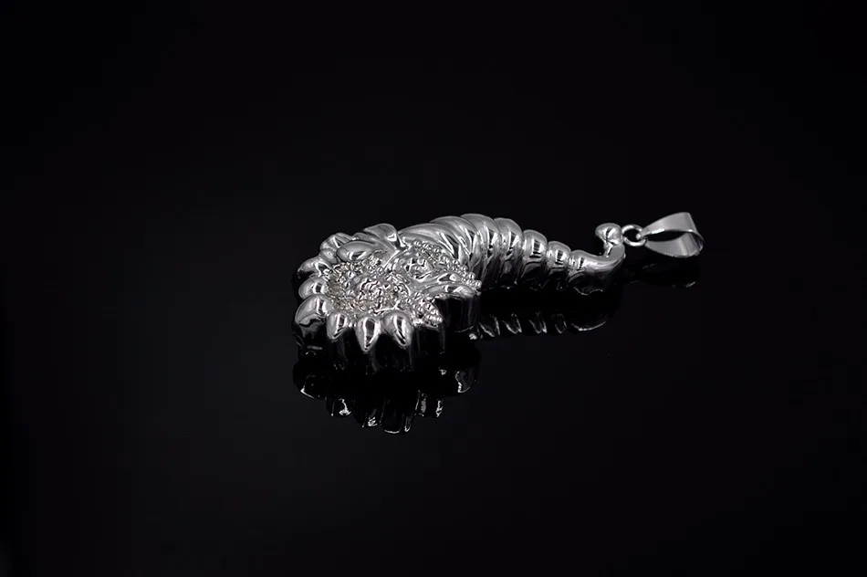 pendant necklace (2)