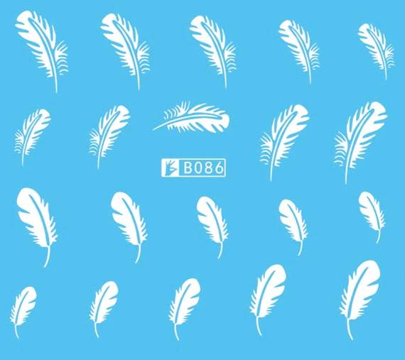 B086 
