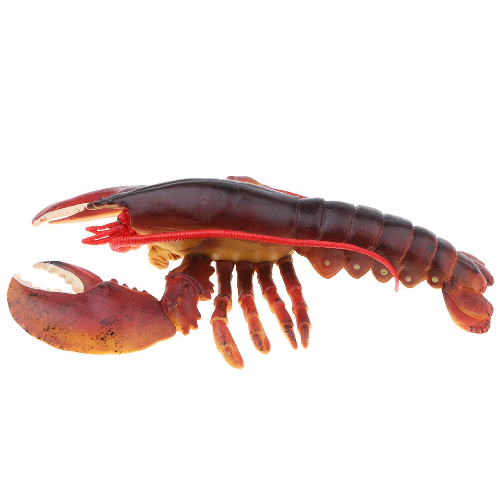 9 Inch Realistic Marine Animal Model Figurines, Plastic Lobster Action Figure Toy for Kids, Science Educational Toy, Collection