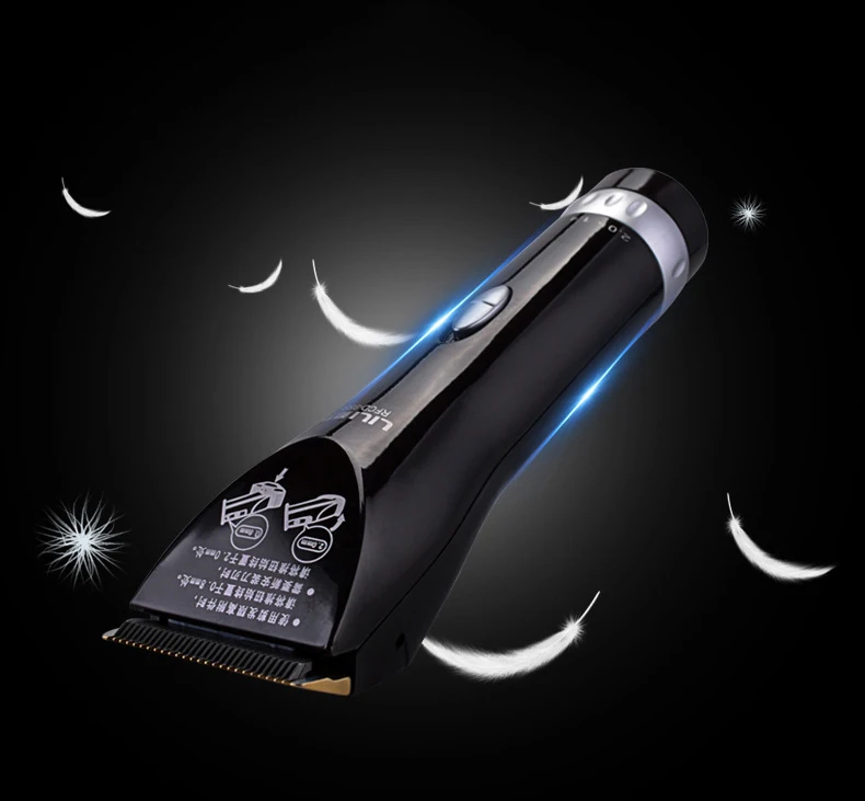 3802357147_822936908