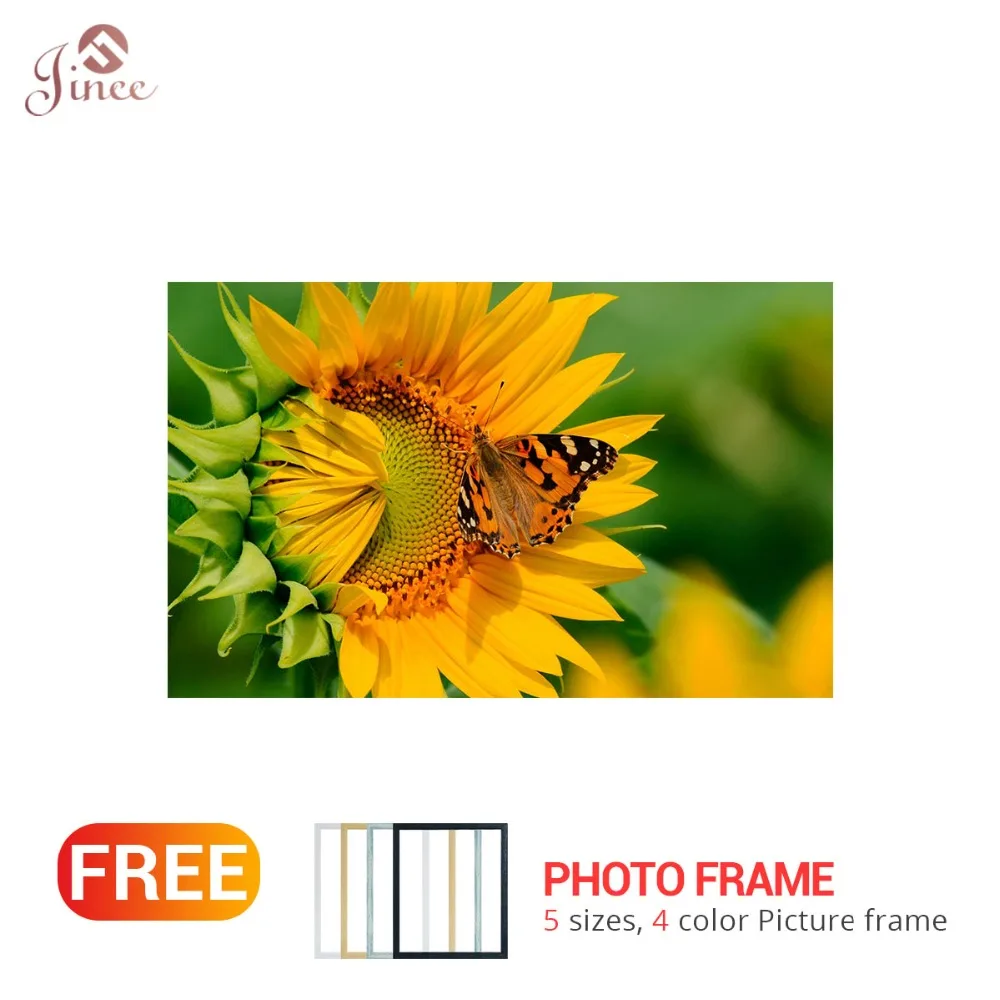 Full Drill Square Round Diamond 5D DIY Painting Sunflower Embroidery Cross Stitch Rhinestone Mosaic | Дом и сад