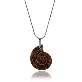 

Ammonite Fossil Stone Inlay Pendant Necklaces Pendulum Snake Chain Healing Chakra Reiki Fashion Jewelry Free shipping