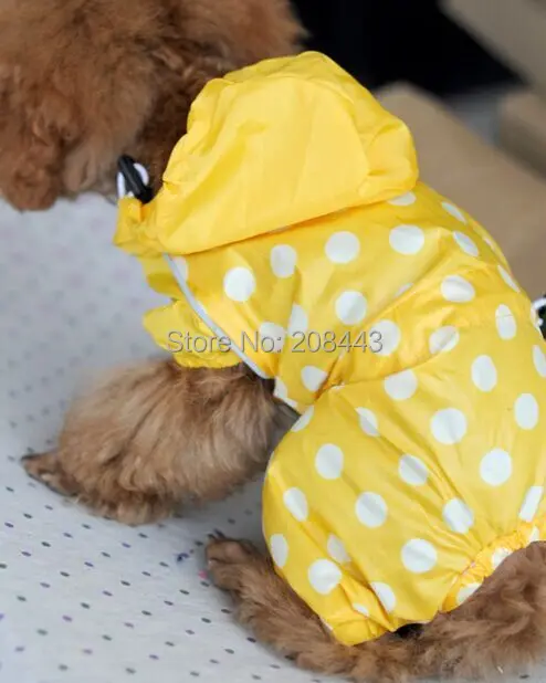 shih tzu raincoat
