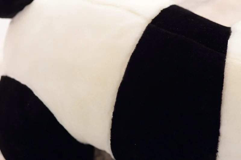 6147317622_1639475617