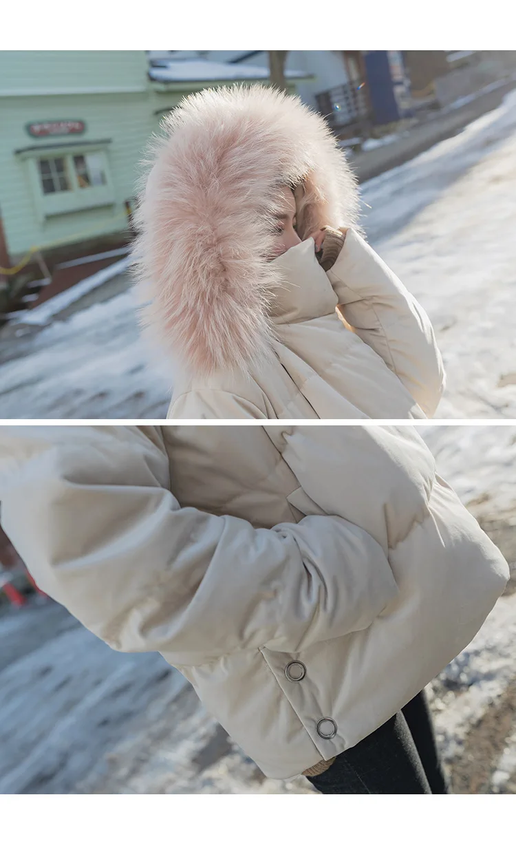 Бархат парка Для женщин зимняя куртка хлопковое Стеганое пальто Для женщин с капюшоном меховой воротник Украина хлеб одежда женский плюс