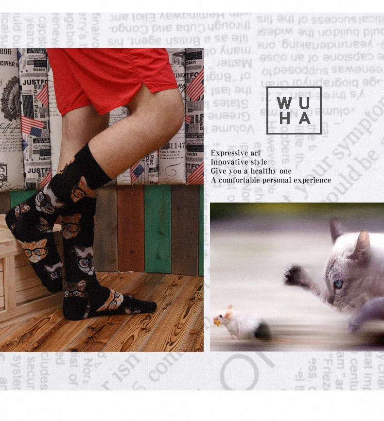 9195167731_2023056901