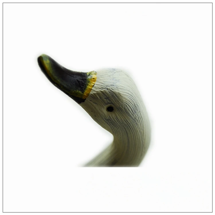 (7)