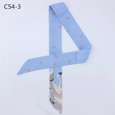 ZhenKeRou New Arrivals Bag Scarf Print Scarf Women Small Bag Ribbon Fashion Female Hair Ribbons Fashion Handbag Scarves