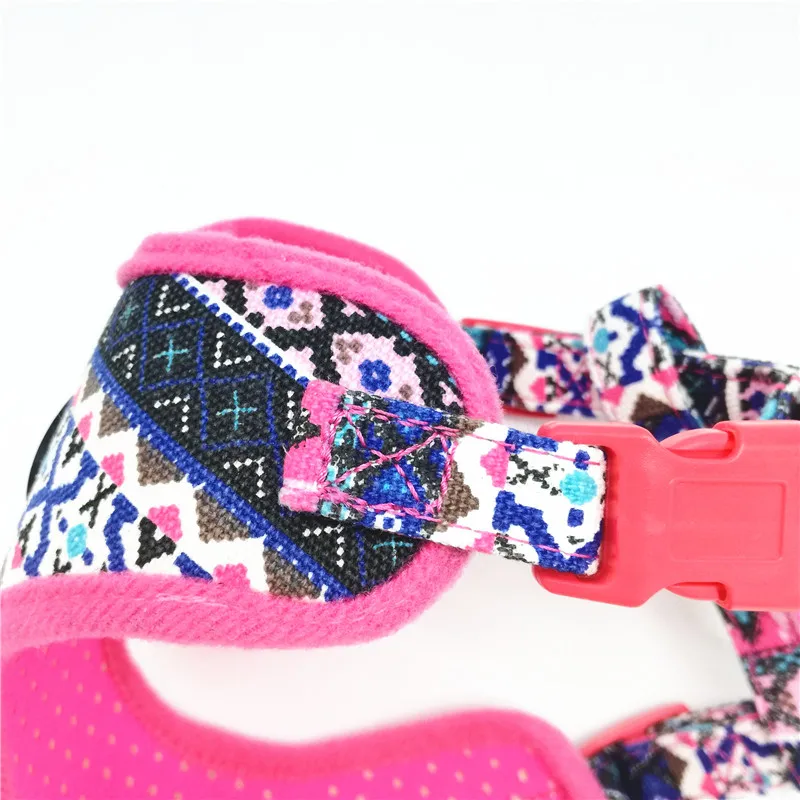 Dog Harness for Small Dogs (7)