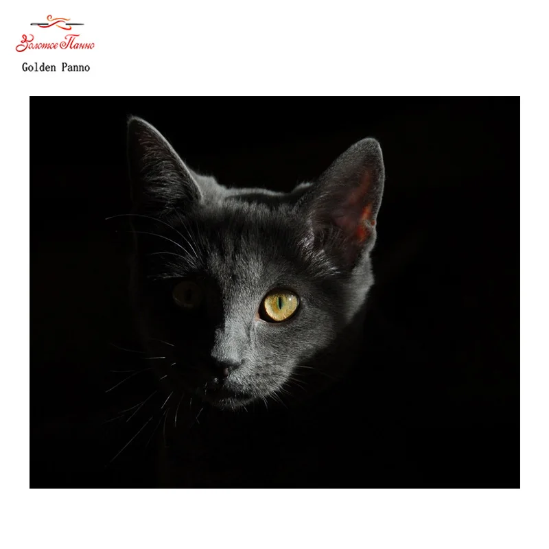 Светящиеся кошачьи глаза. У кошки светятся глаза в темноте. Кошка в темноте. Горящие глаза кошки. Горящие глаза кошки.