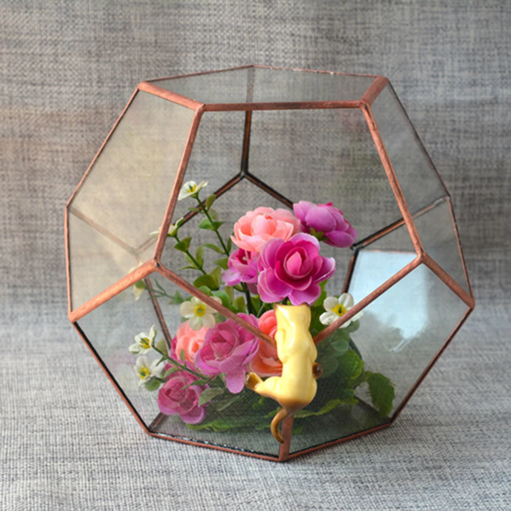2 Pieces Different Kinds of Modern Glass Geometric Terrarium Box Tabletop Succulent Plant Planter