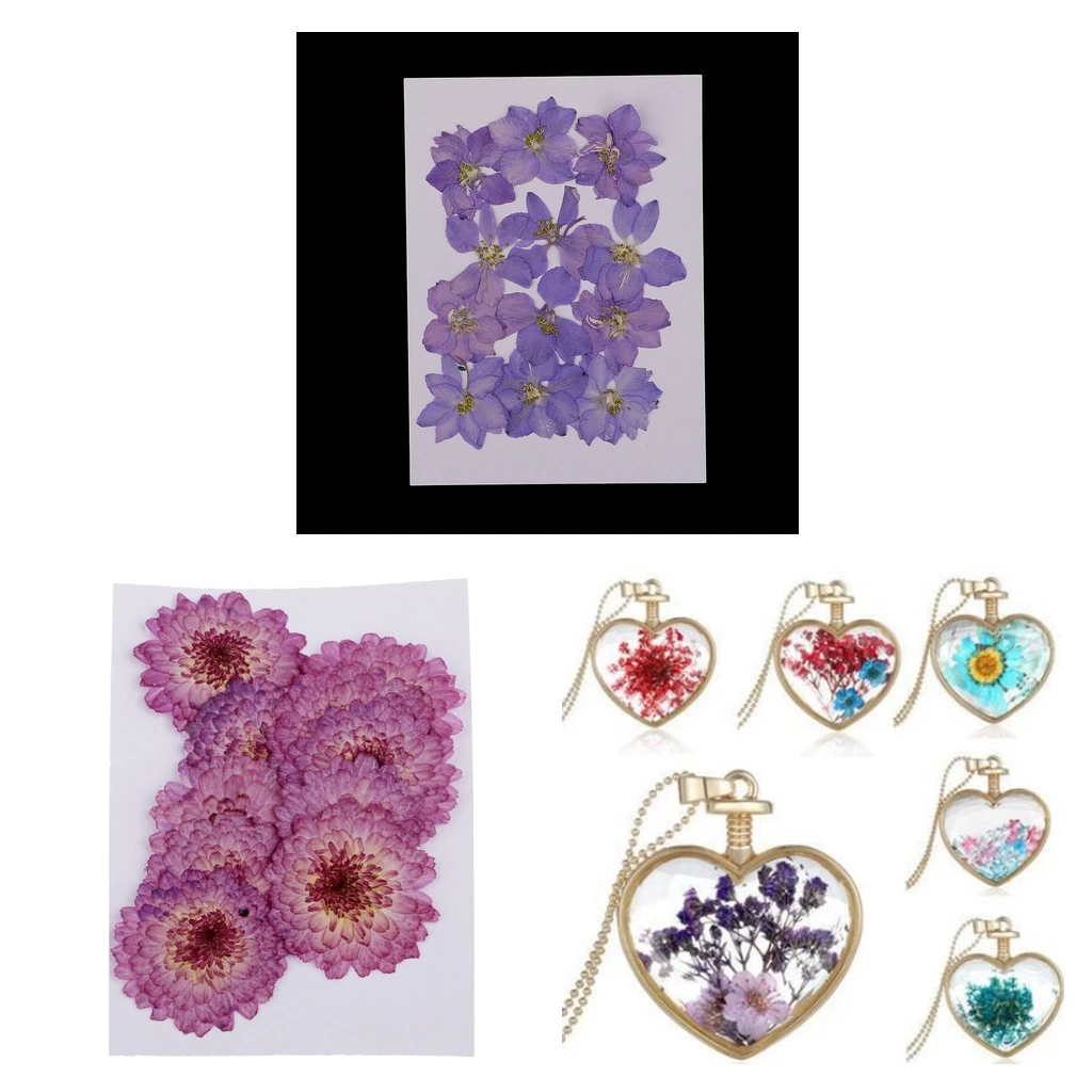 22 Pieces Purple Daisy and Larkspur Dried Pressed Flowers Handmade Real Flowers Case for Phone Decoration DIY