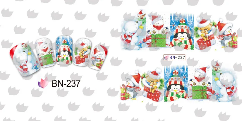 BN-237