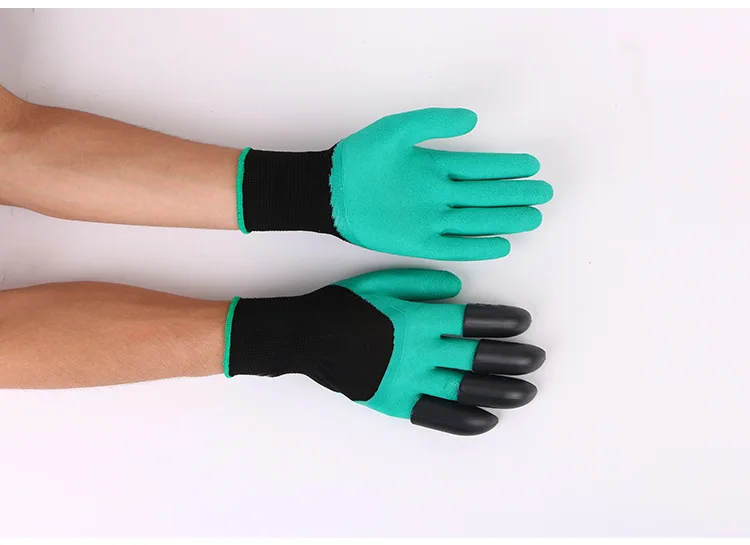 4439039812_904757506