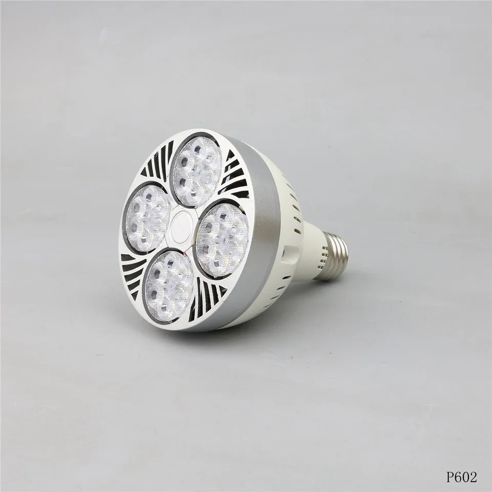 (31)