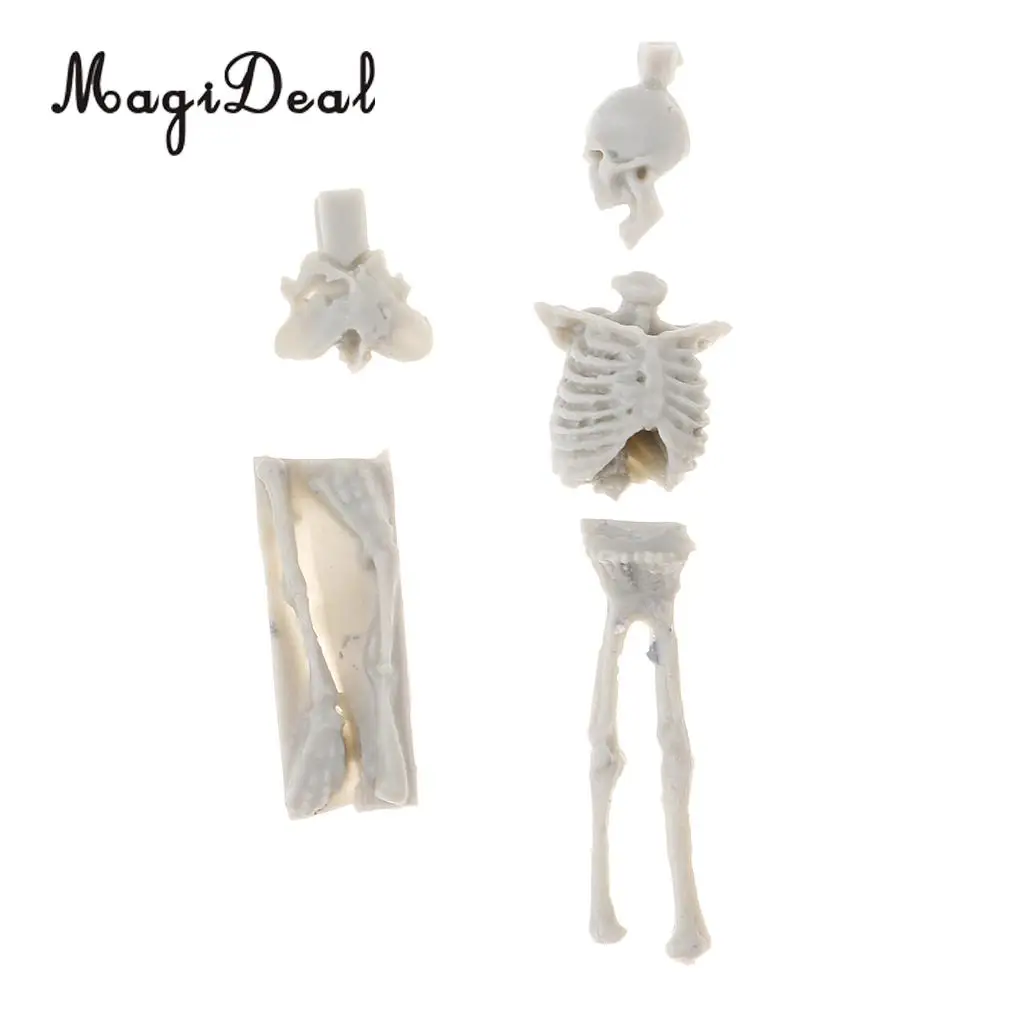 MagiDeal 1Set Unassembly Unpainted Kit 1/35 Scale Resin Skull Skeleton Mini Sand Table Scene for Handmade Art Craft Model Gift