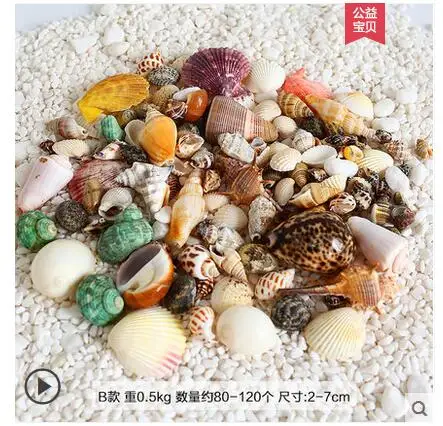 

High quality Natural large shellfish sea conch corals home ornaments shell colored stone statues Home wedding decoration dies