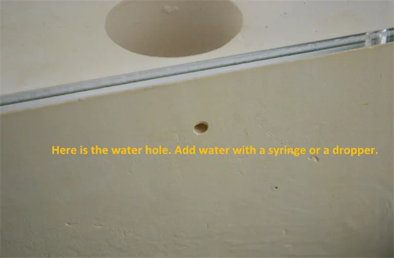 Earth Formicarium designed with ants in mind this sturdy gypsum and acrylic nest measures&nbsp;  (4)
