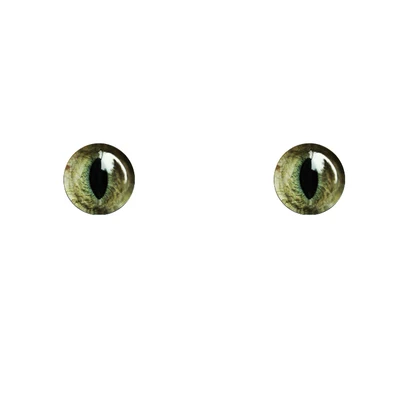 BJD eyes 14mm Cartoon eye pressure 10-16-24mm cat eye shape for 1/8 1/6 1/4 1/3 BJD SD DD doll eyes doll accessories - Color: C