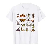 Entomology Shirt Collection of Insects Shirt Funny Bug Tee T Shirt Gift More Size and Colors Top Tee 100% Cotton Geek Family forest entomology