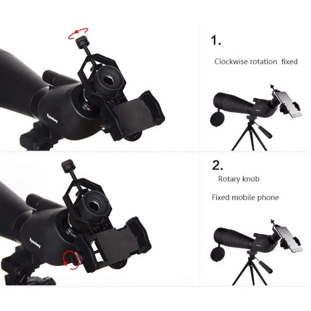 61mEv9fEUKL._SL1001_