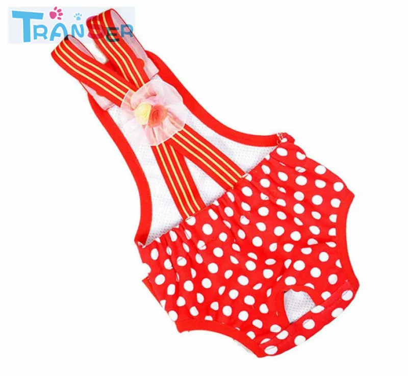 Transer Clothes For Dogs Dots Pattern High Quality Cute Pet Dog Panty Brief Bitch In Season Sanitary Pants For Girl Roupa Pet 06