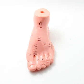 

13cm Foot acupuncture model foot acupuncture needle acupoint model foot acupuncture point model