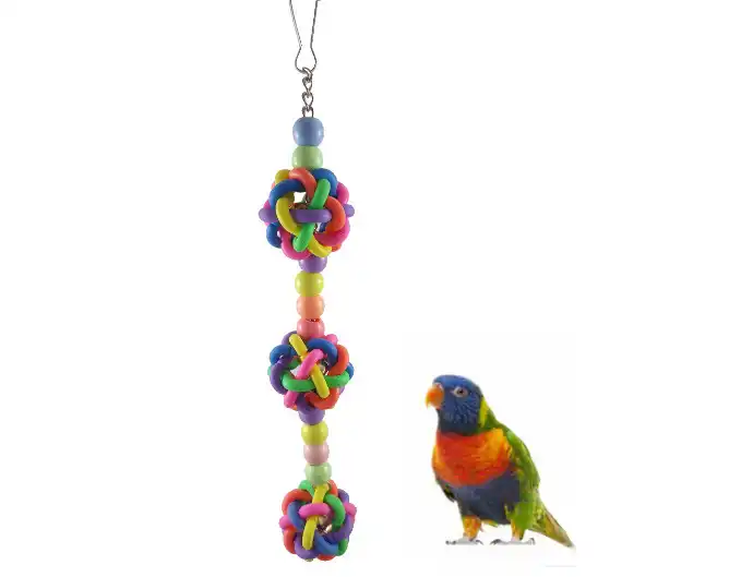 鳥アクセサリーオウムおもちゃハムスターカラフルなプラスチックボールかじる鳥おもちゃ 鳥のおもちゃ Aliexpress