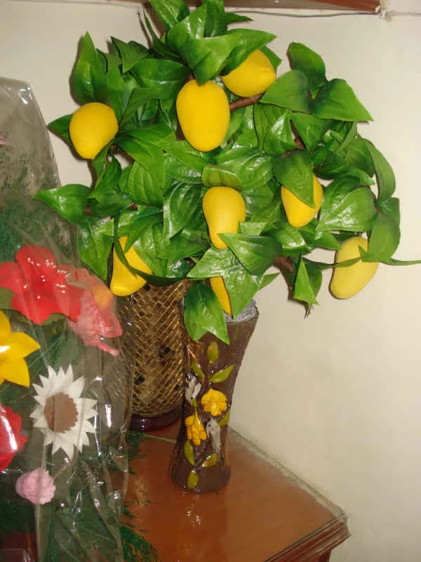 1 Stks/zak Mango Zaden Mini Mango Boom Zaden Bonsai Boom Zaad