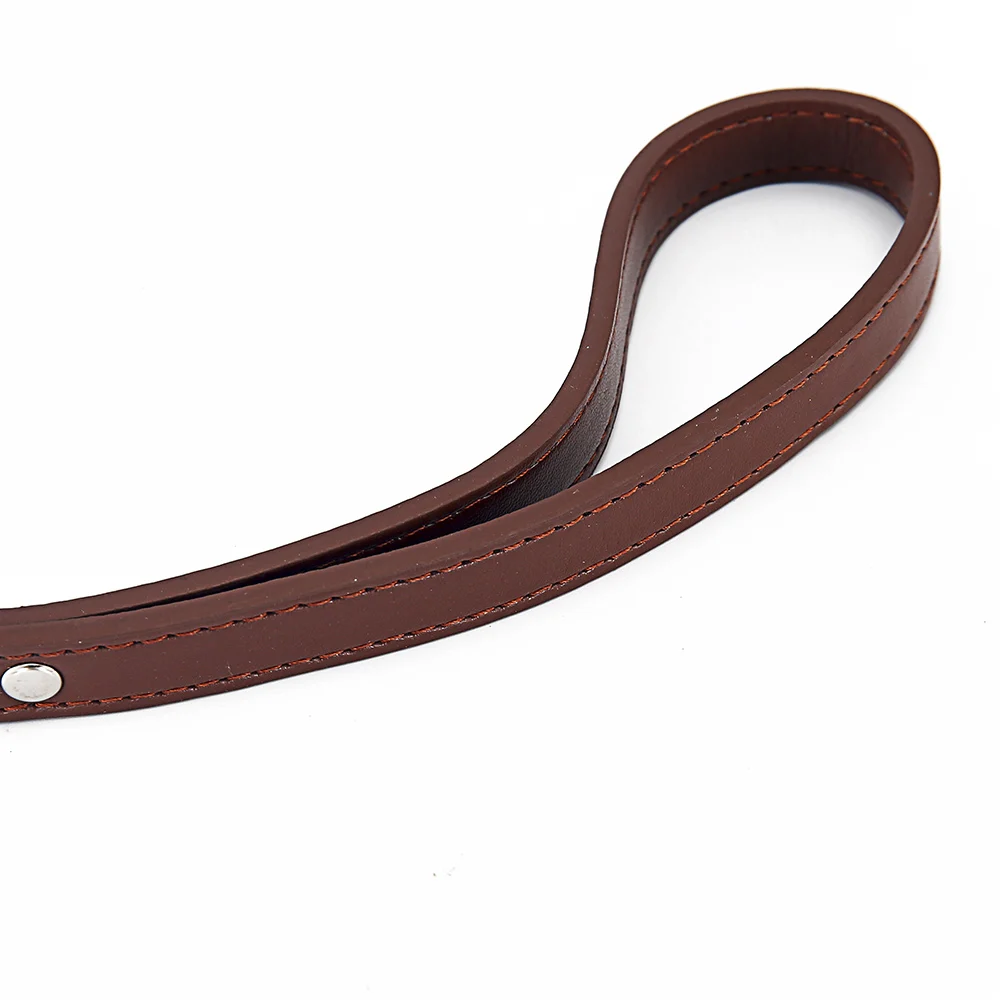 Solid Dog Leashes For Puppy Dogs Cats Training Walking Leashes (21)