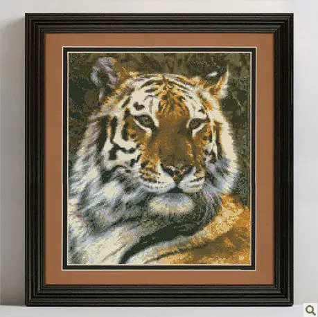Gold petite beguiling tiger counted cross stitch kit 7x5 18 count